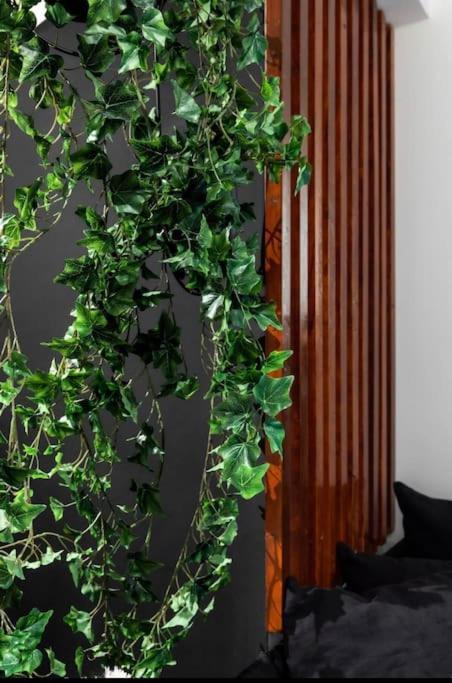 Novel Acropolis Apartment Athen Exterior foto